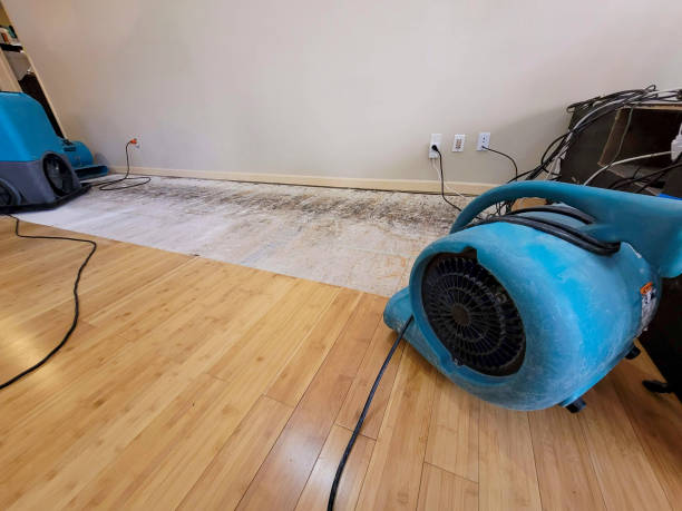 Professional Basement Flood Cleanup technician working in Franklin Park, PA